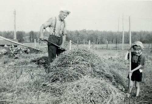 Harold Cooper and Sterling making Hay