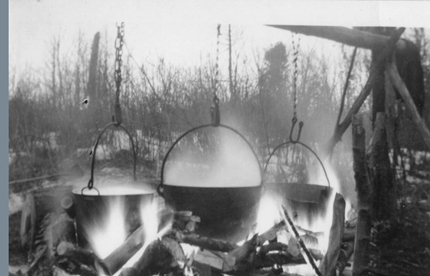 Maple Syrup making in Lewisham