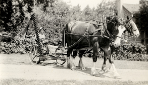 horse drawn mower